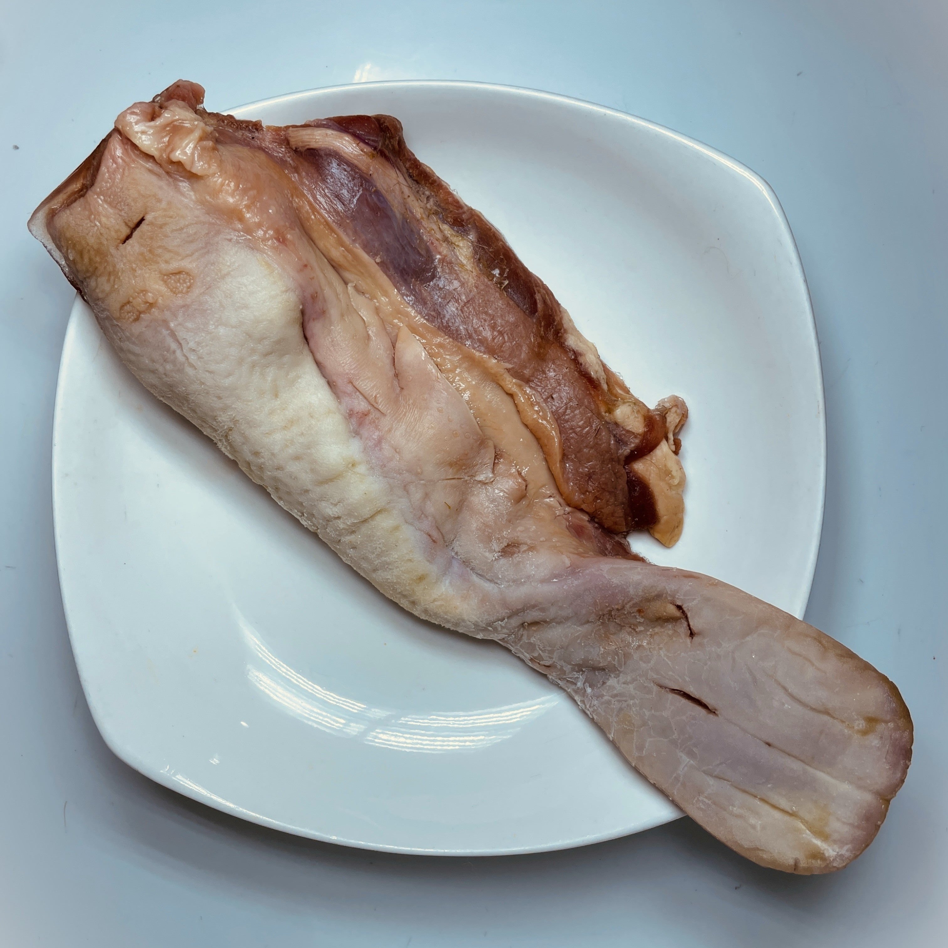 Lengua de caballo