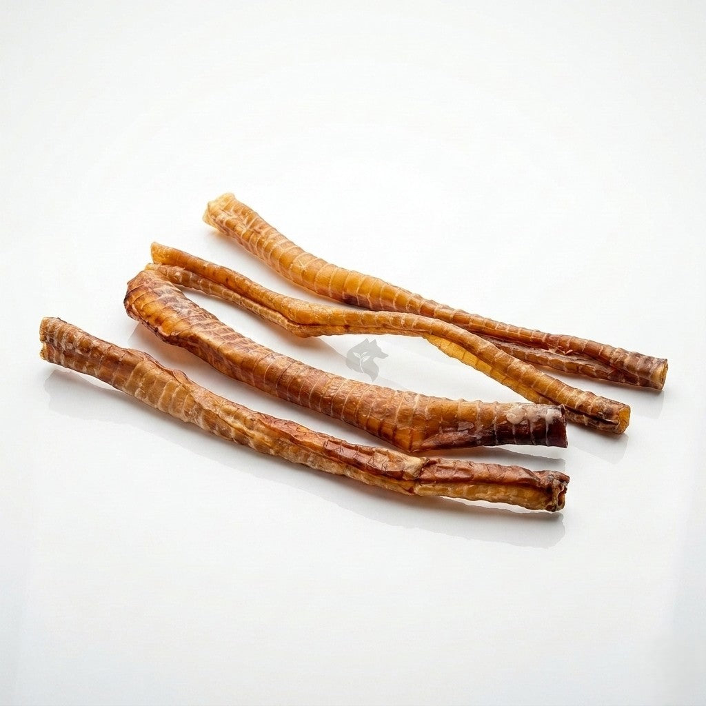 Tráquea de alpaca